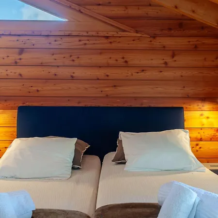 Chalet Aquarius By Interhome